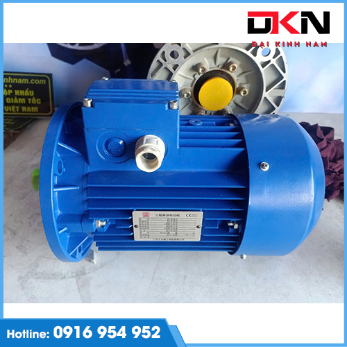 Động Cơ Điện 1 Pha