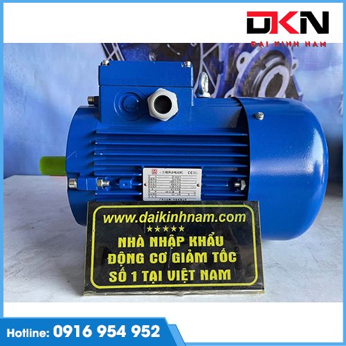 Động Cơ Điện 3 Pha